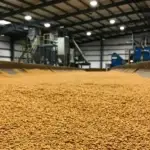 490185576_122098644428841273_1687083779130587616_n_11zon - Agence 47 Indoor pellet processing plant: a long bed of orange wood pellets on a production line, with machinery and steel framework in the background.